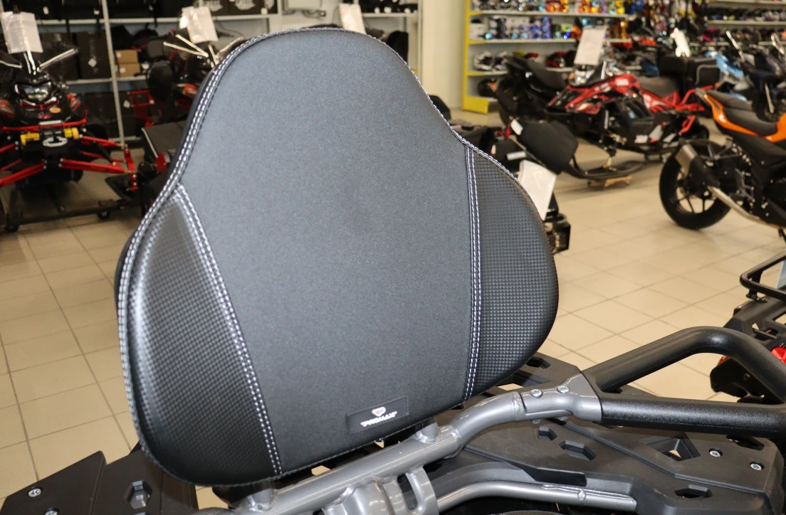 Квадроцикл PROMAX RENEGADE 300 LONG WINCH PRO (2025) в Самаре