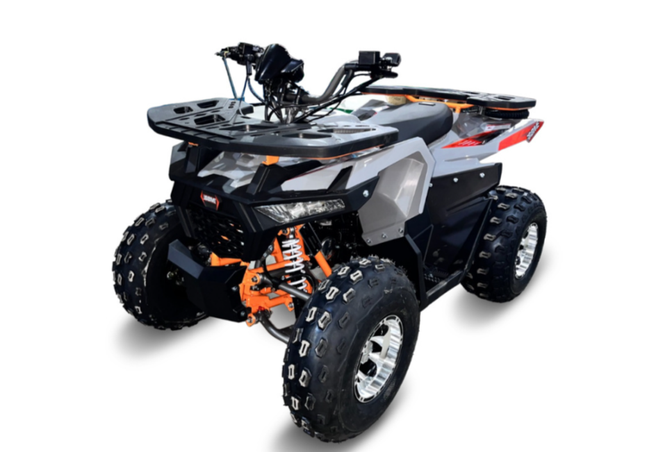 Квадроцикл GBM DAXTER 220 NEW PREMIUM в Самаре