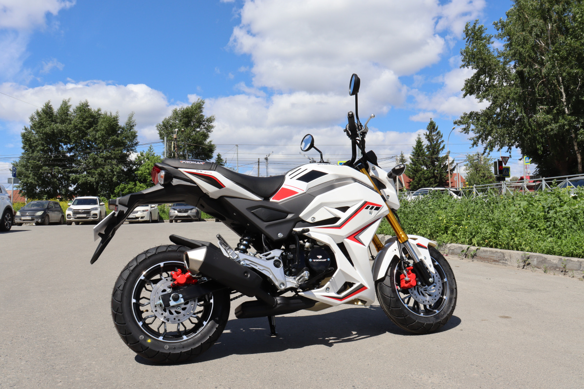 Мотоцикл PROMAX STRYKER 200(49) 2.0 в Самаре