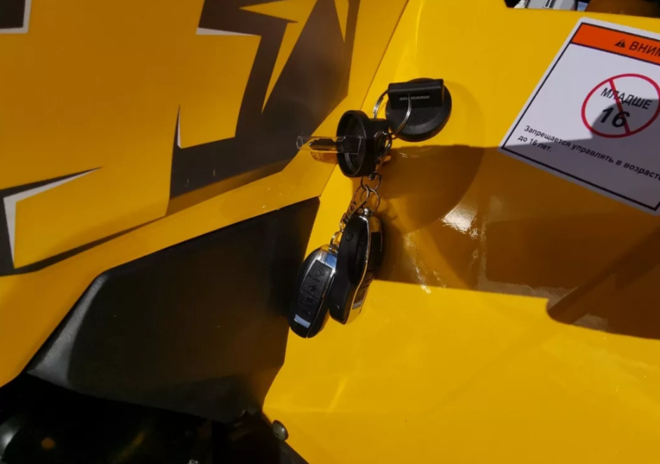 Квадроцикл MOTOLAND (МОТОЛЕНД) VOX200 WILD TRACK X PRO (баланс. вал) в Самаре