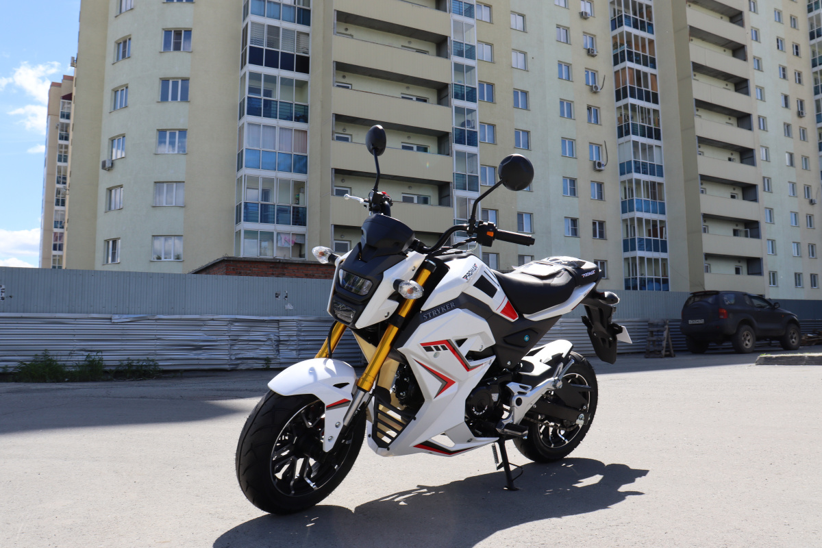 Мотоцикл PROMAX STRYKER 200(49) 2.0 в Самаре