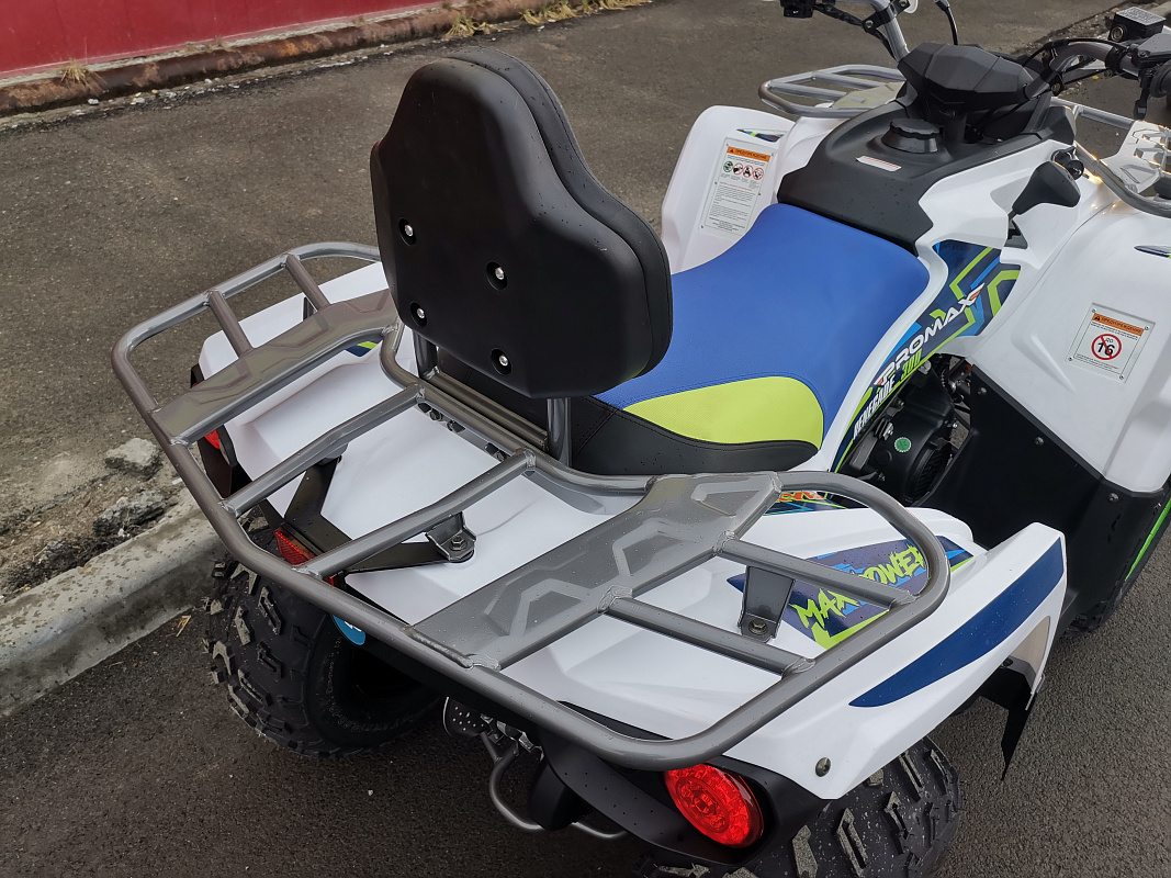 Квадроцикл PROMAX RENEGADE 280 LUX (2025) в Самаре
