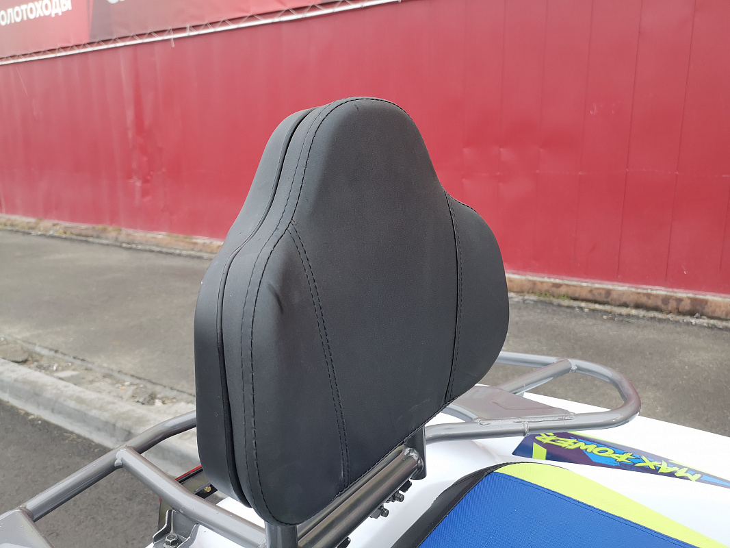 Квадроцикл PROMAX RENEGADE 280 LUX (2025) в Самаре