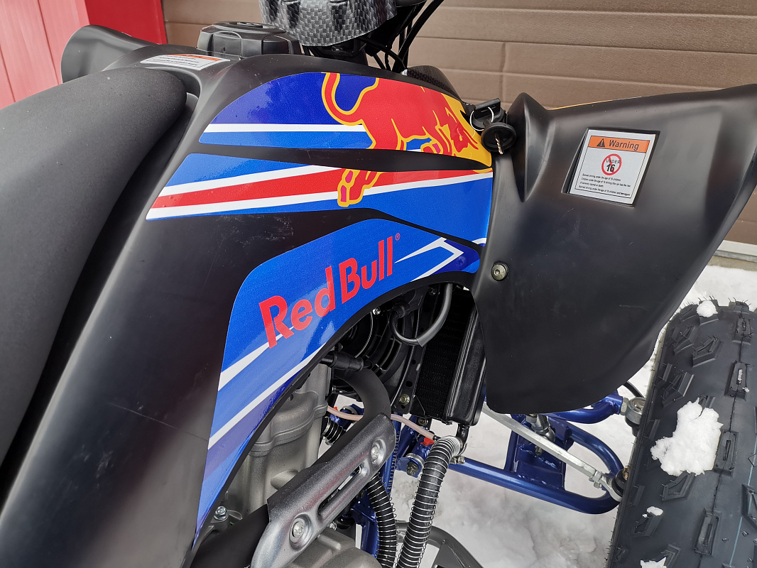 Квадроцикл PROMAX RAPTOR 300 NEW RedBull в Самаре