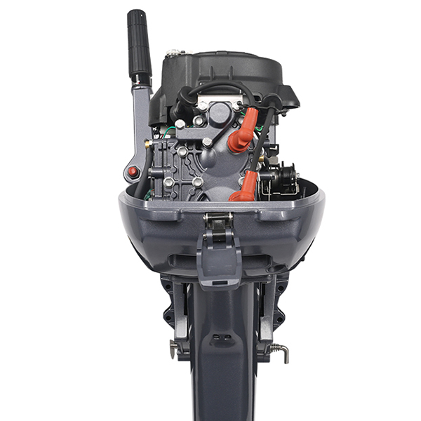 ЛОДОЧНЫЙ МОТОР ALLFA CG Т9,9 Limit в Самаре