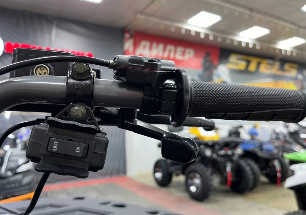 Квадроцикл PROMAX RENEGADE 300 LONG WINCH PRO (2025) в Самаре