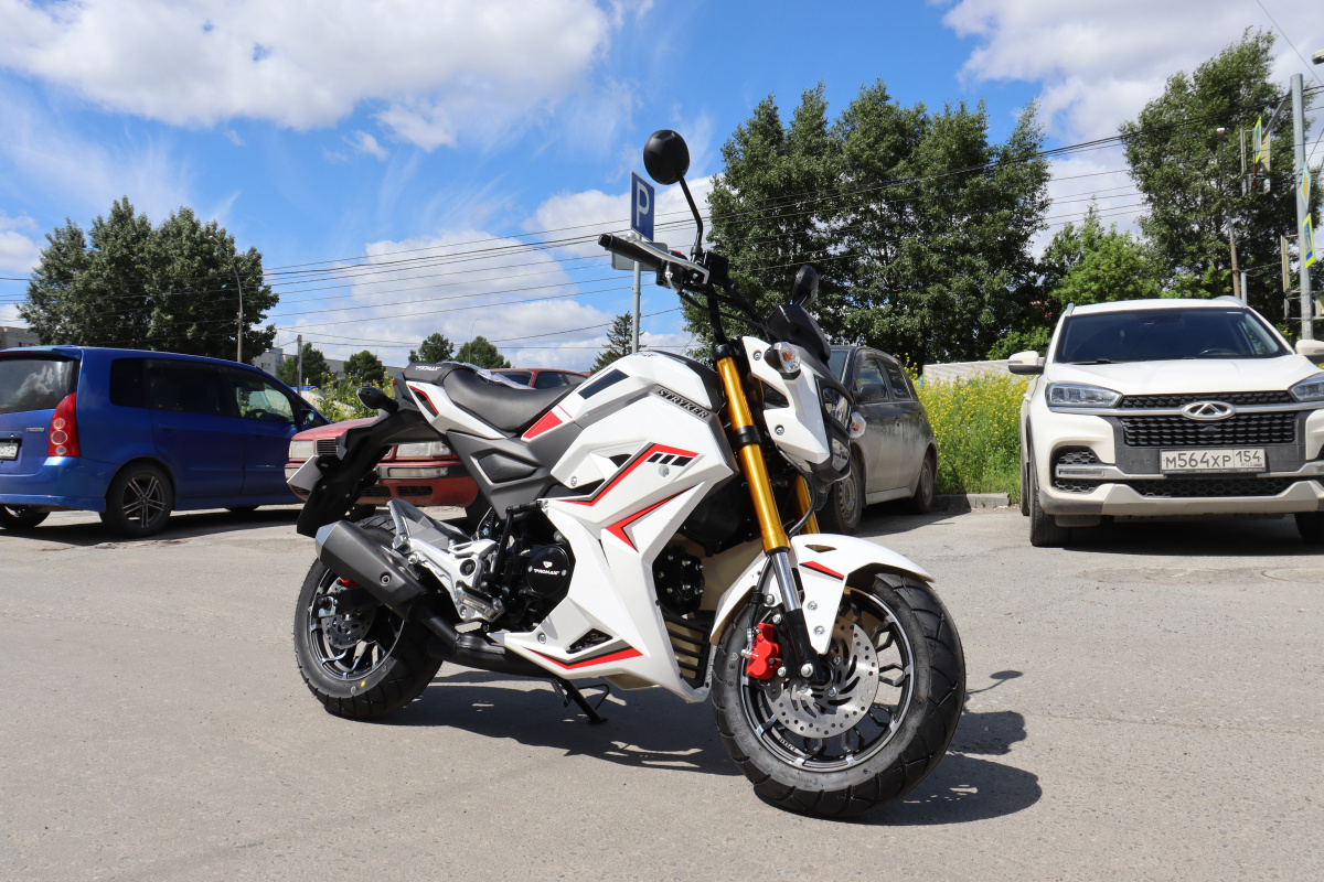 Мотоцикл PROMAX STRYKER 200(49) 2.0 в Самаре