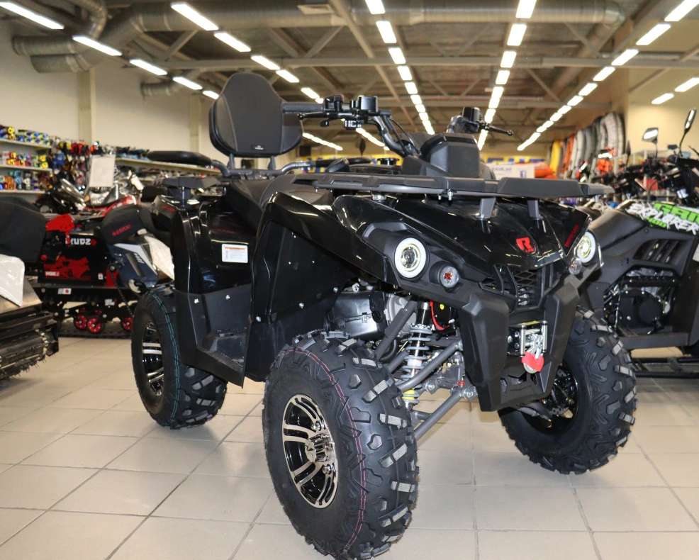 Квадроцикл PROMAX RENEGADE 300 LONG WINCH PRO (2025) в Самаре
