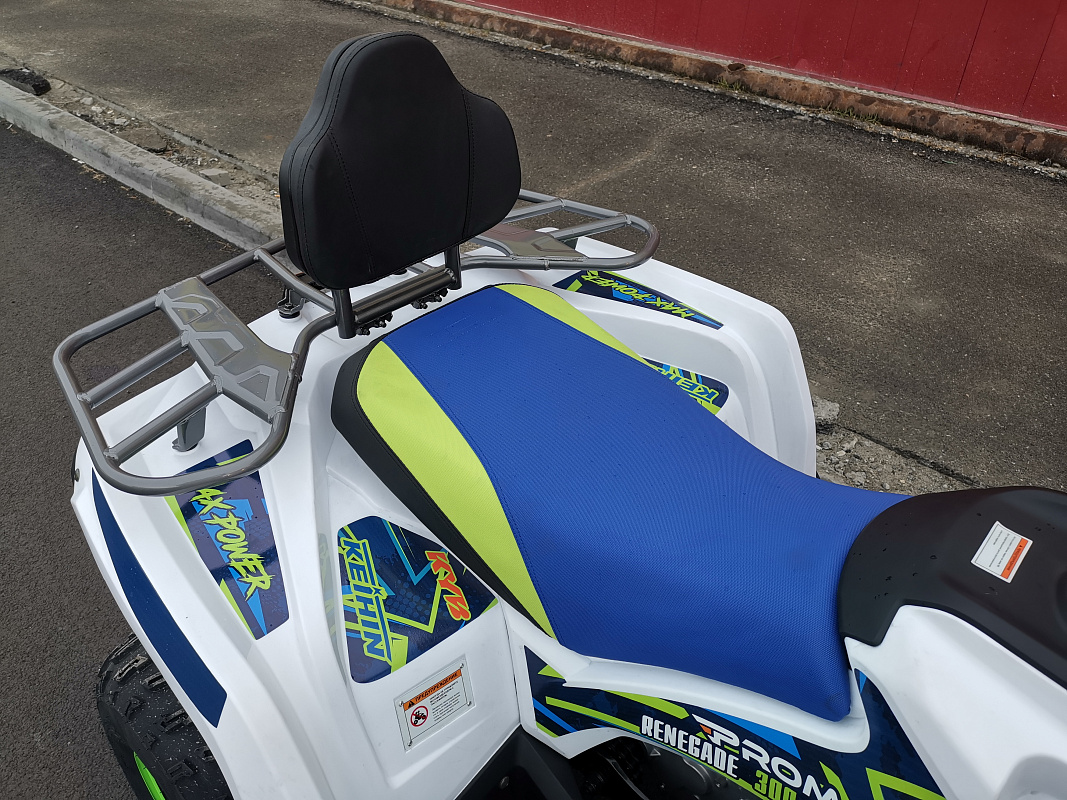 Квадроцикл PROMAX RENEGADE 280 LUX (2025) в Самаре