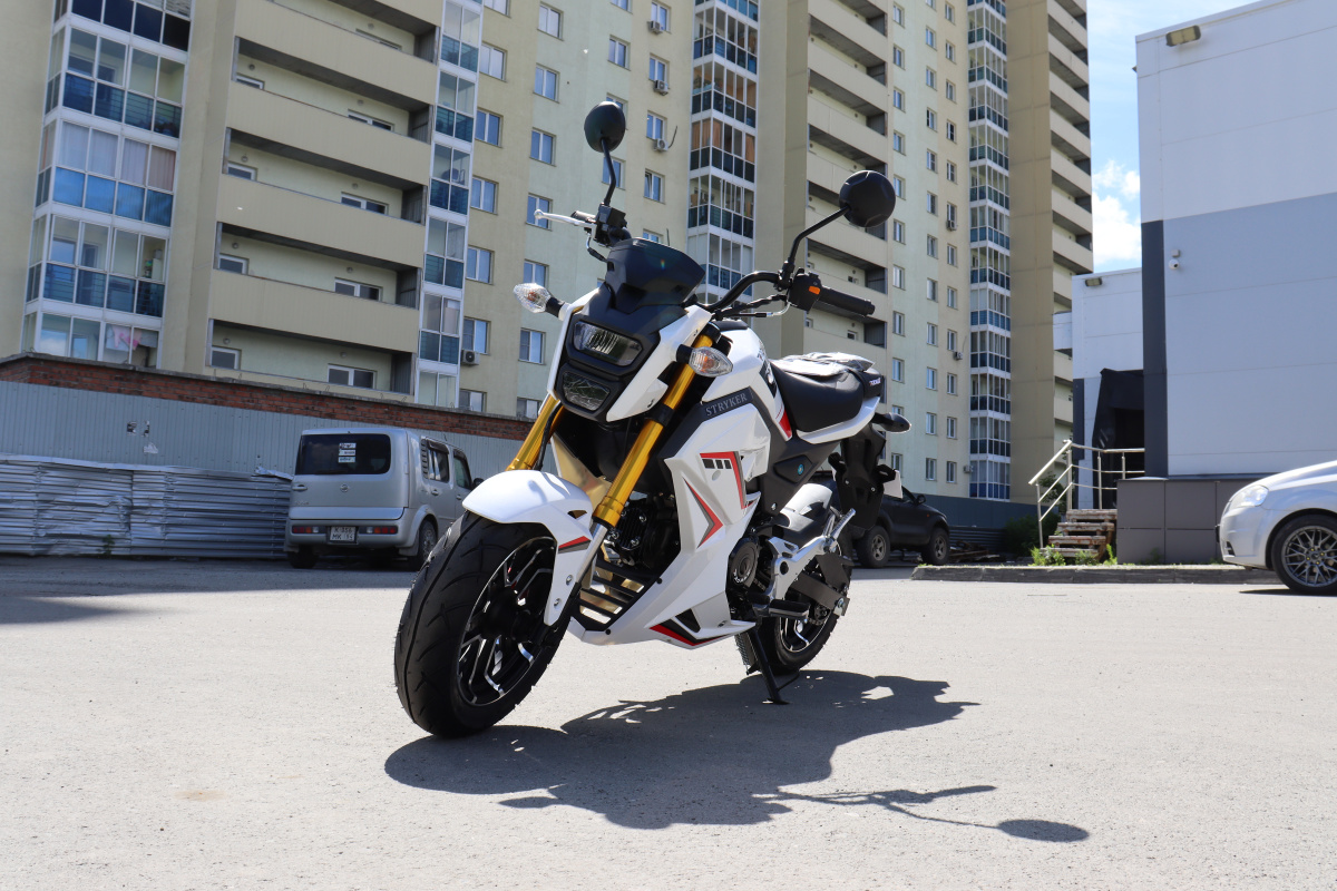 Мотоцикл PROMAX STRYKER 200(49) 2.0 в Самаре