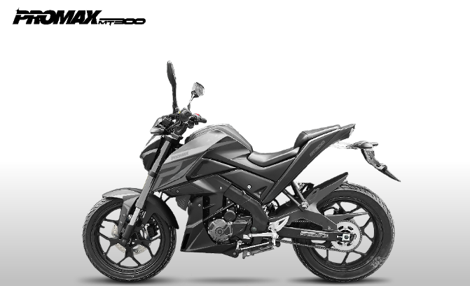 Мотоцикл PROMAX MT300 в Самаре