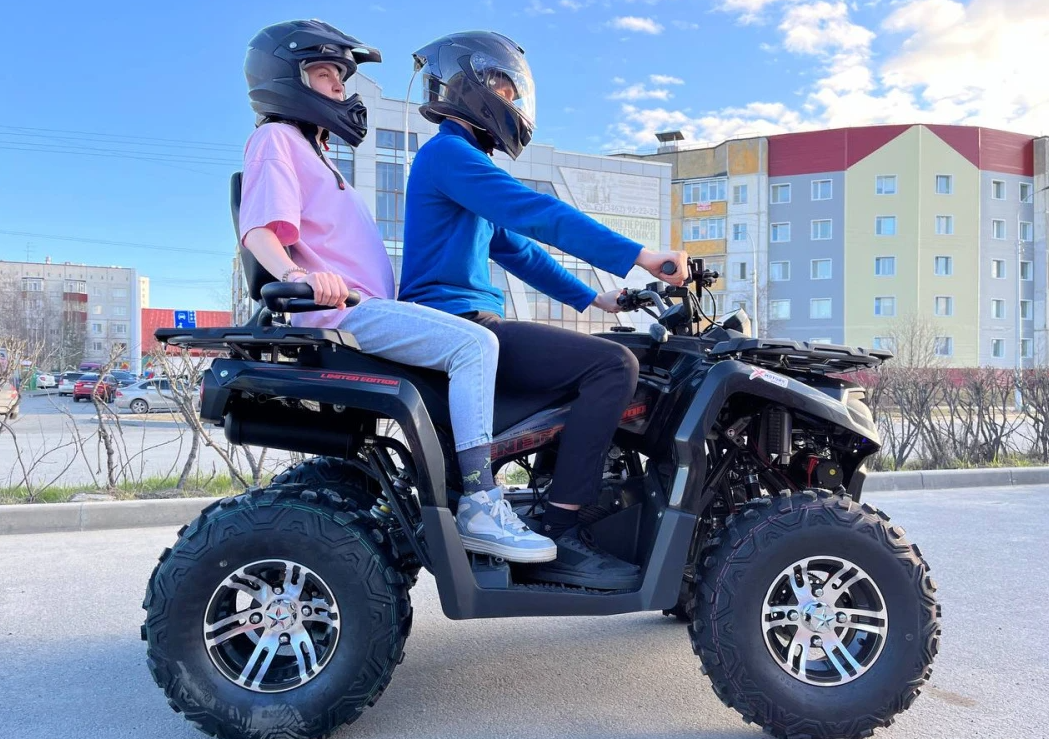 Квадроцикл PROMAX RENEGADE 300 LONG WINCH PRO (2025) в Самаре