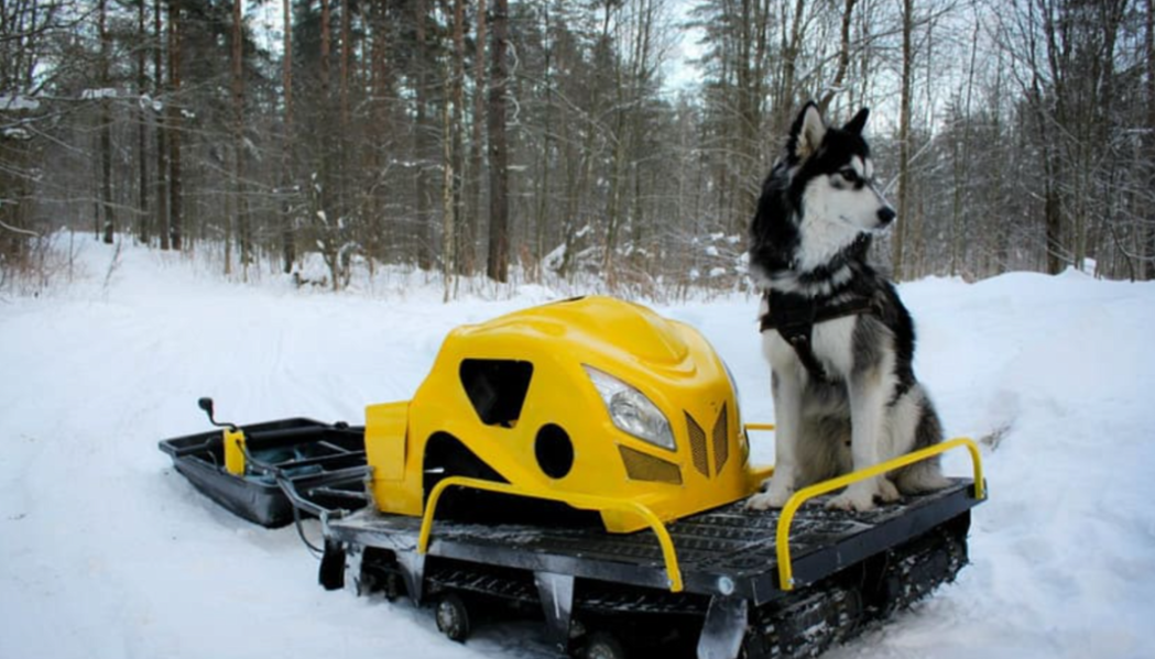 Мотобуксировщик LEBEDEV MOTORS ВОЛКОДАВ POWER V13 в Самаре