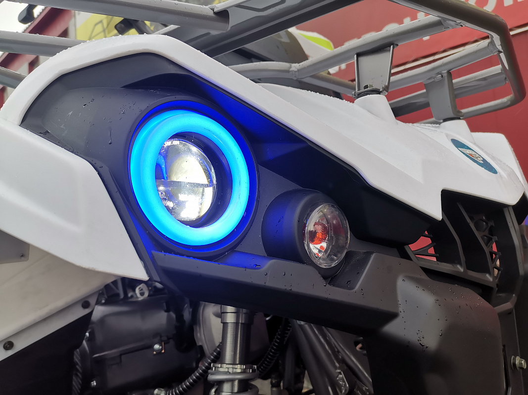 Квадроцикл PROMAX RENEGADE 280 LUX (2025) в Самаре