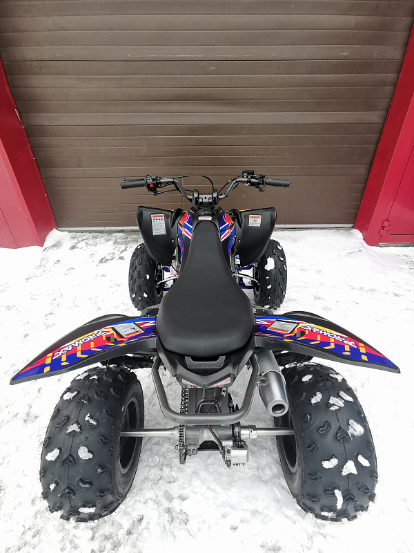 Квадроцикл PROMAX RAPTOR 300 NEW RedBull в Самаре