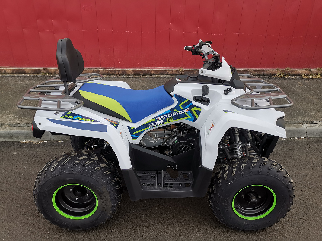 Квадроцикл PROMAX RENEGADE 280 LUX (2025) в Самаре