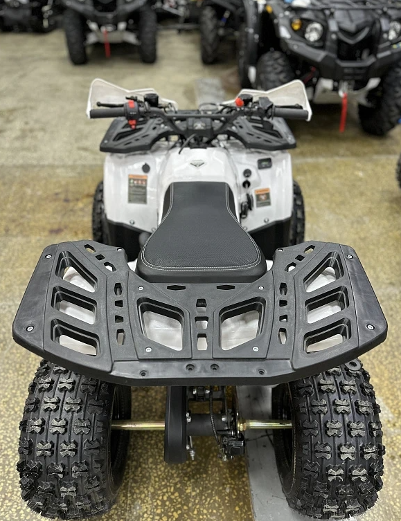 Квадроцикл PROMAX WILD 2.0 190 в Самаре