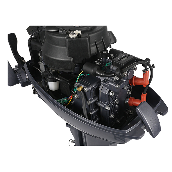 ЛОДОЧНЫЙ МОТОР ALLFA CG Т9,9 Limit в Самаре