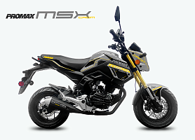 Поступление мотоциклов PROMAX MSX200 CROM (49)! Поступление мотоциклов PROMAX MSX200 CROM (49)!