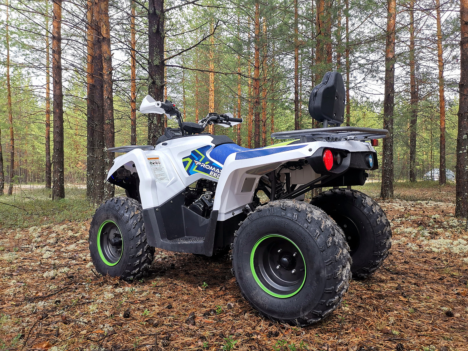 Квадроцикл PROMAX RENEGADE 280 (2025) в Самаре
