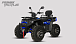 Квадроцикл PROMAX TAURUS 300 MAX-PRO LONG в Самаре