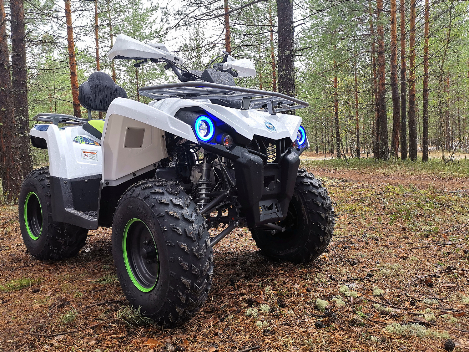 Квадроцикл PROMAX RENEGADE 280 (2025) в Самаре