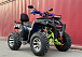  Квадроцикл PROMAX ATV 250 MAX (2025) в Самаре