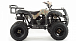 Квадроцикл MOTOLAND (МОТОЛЕНД) 200 ALL ROAD в Самаре