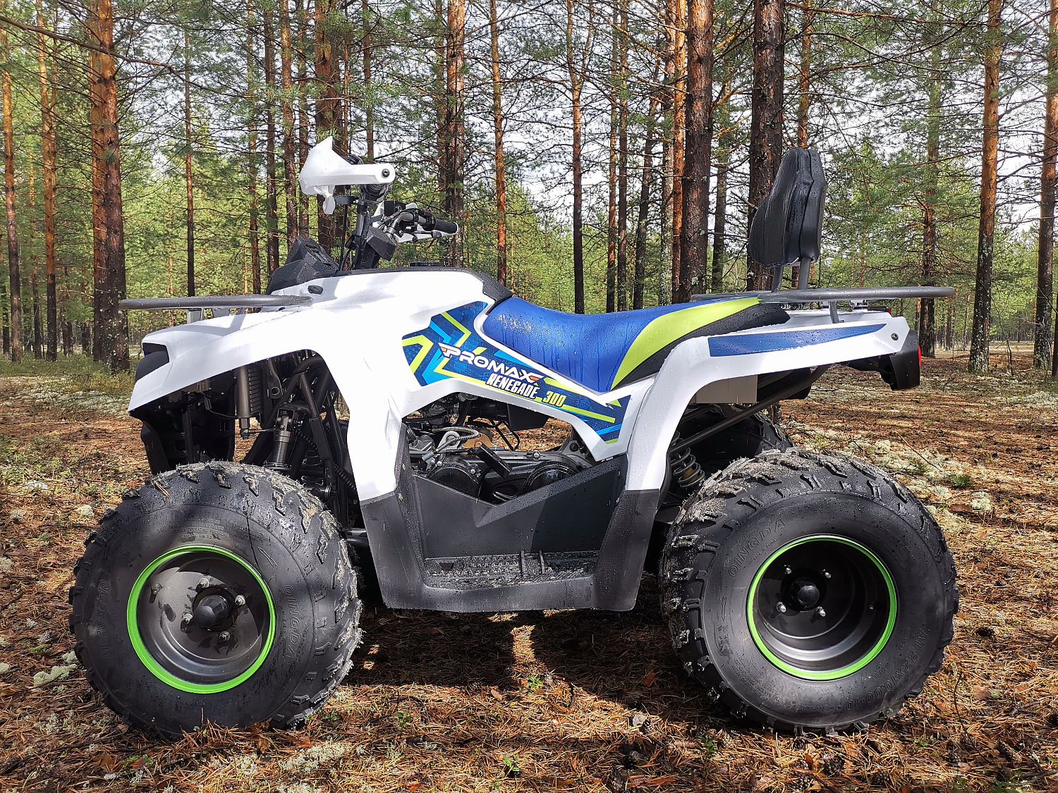 Квадроцикл PROMAX RENEGADE 280 (2025) в Самаре