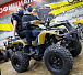 Квадроцикл PROMAX ATV 250 (2025) в Самаре