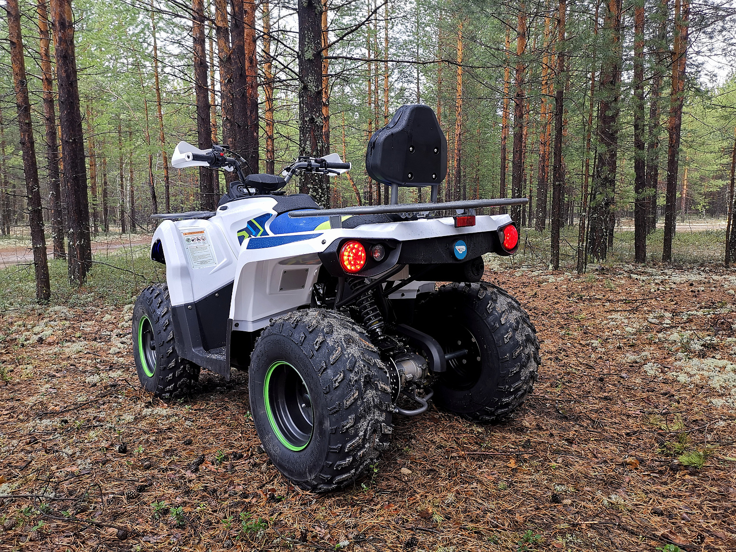 Квадроцикл PROMAX RENEGADE 280 (2025) в Самаре