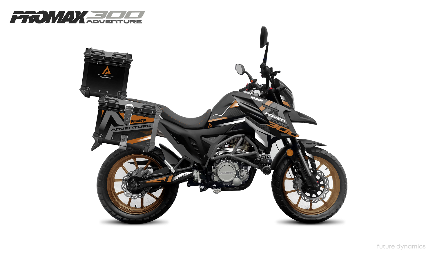 Мотоцикл PROMAX ADVENTURE 300 PRO EFI (NB300) в Самаре