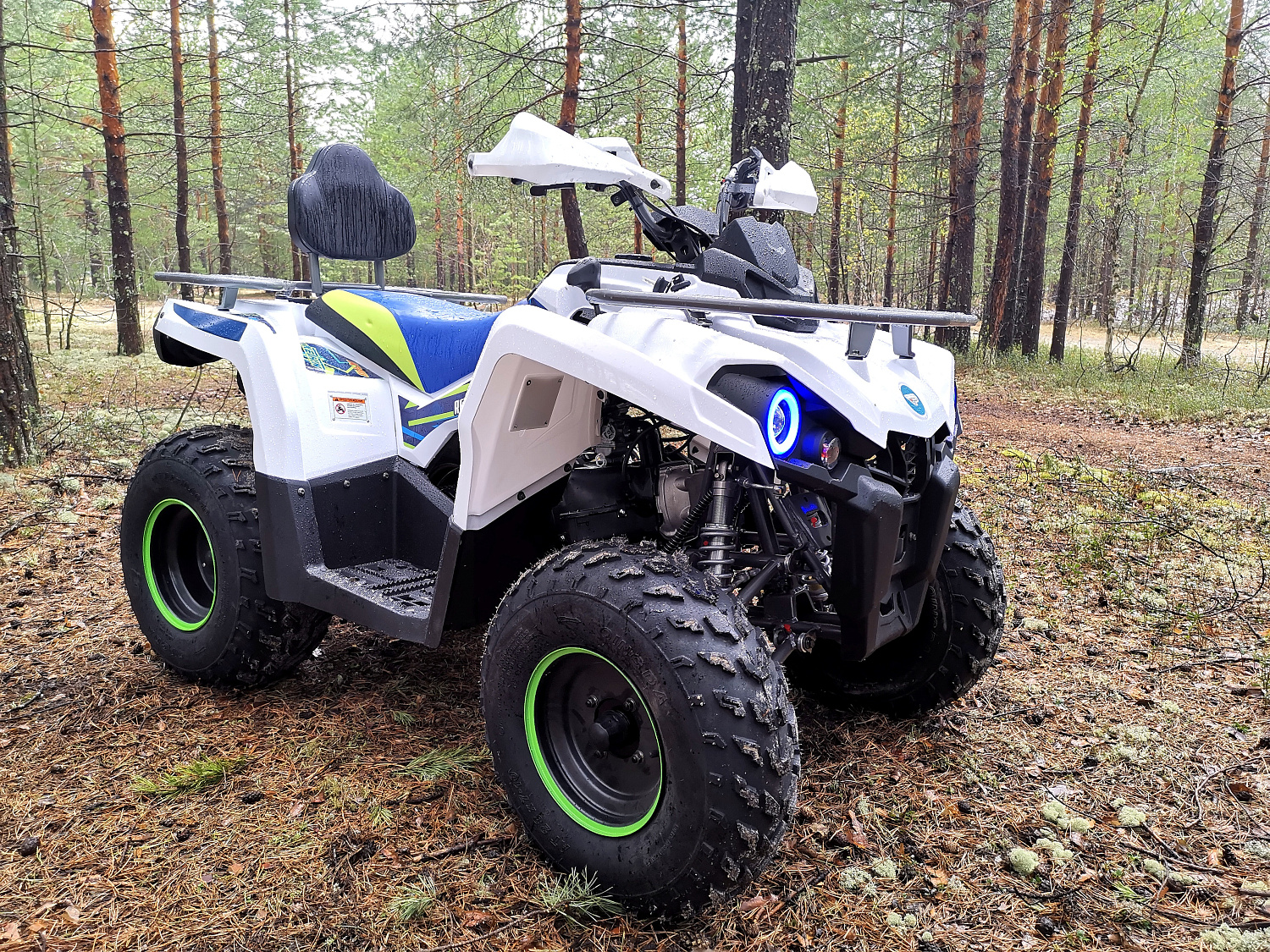 Квадроцикл PROMAX RENEGADE 280 (2025) в Самаре