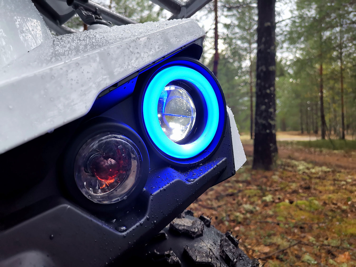 Квадроцикл PROMAX RENEGADE 280 (2025) в Самаре