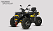 Квадроцикл PROMAX TAURUS 300 MAX-PRO LONG в Самаре